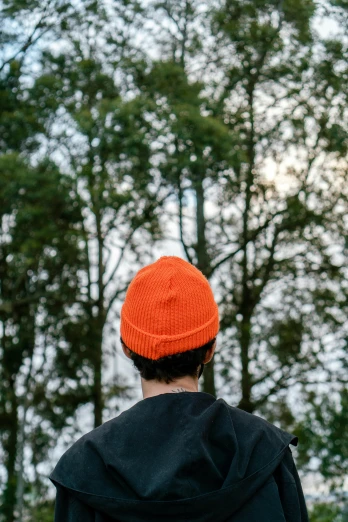 a man in an orange hat is flying a kite, unsplash contest winner, back of the hair, beanie hat, forest outside, avatar image