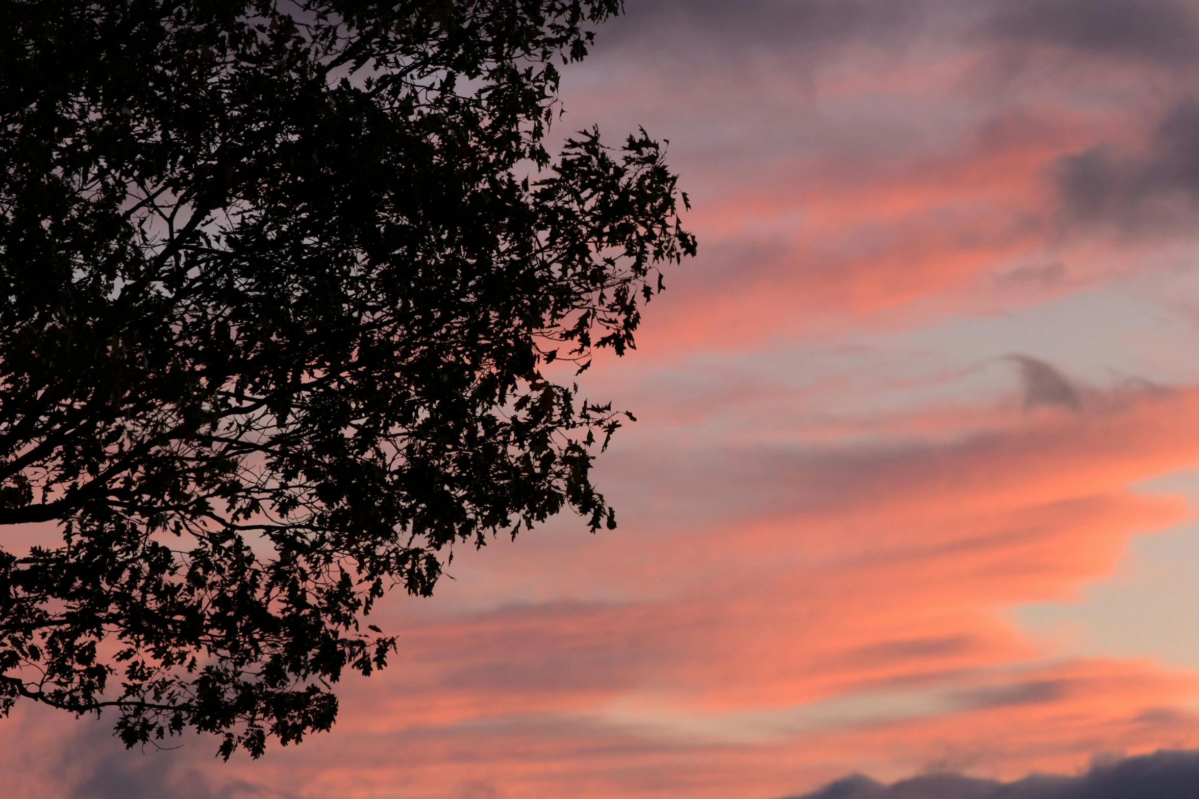 the sky over an area with some trees