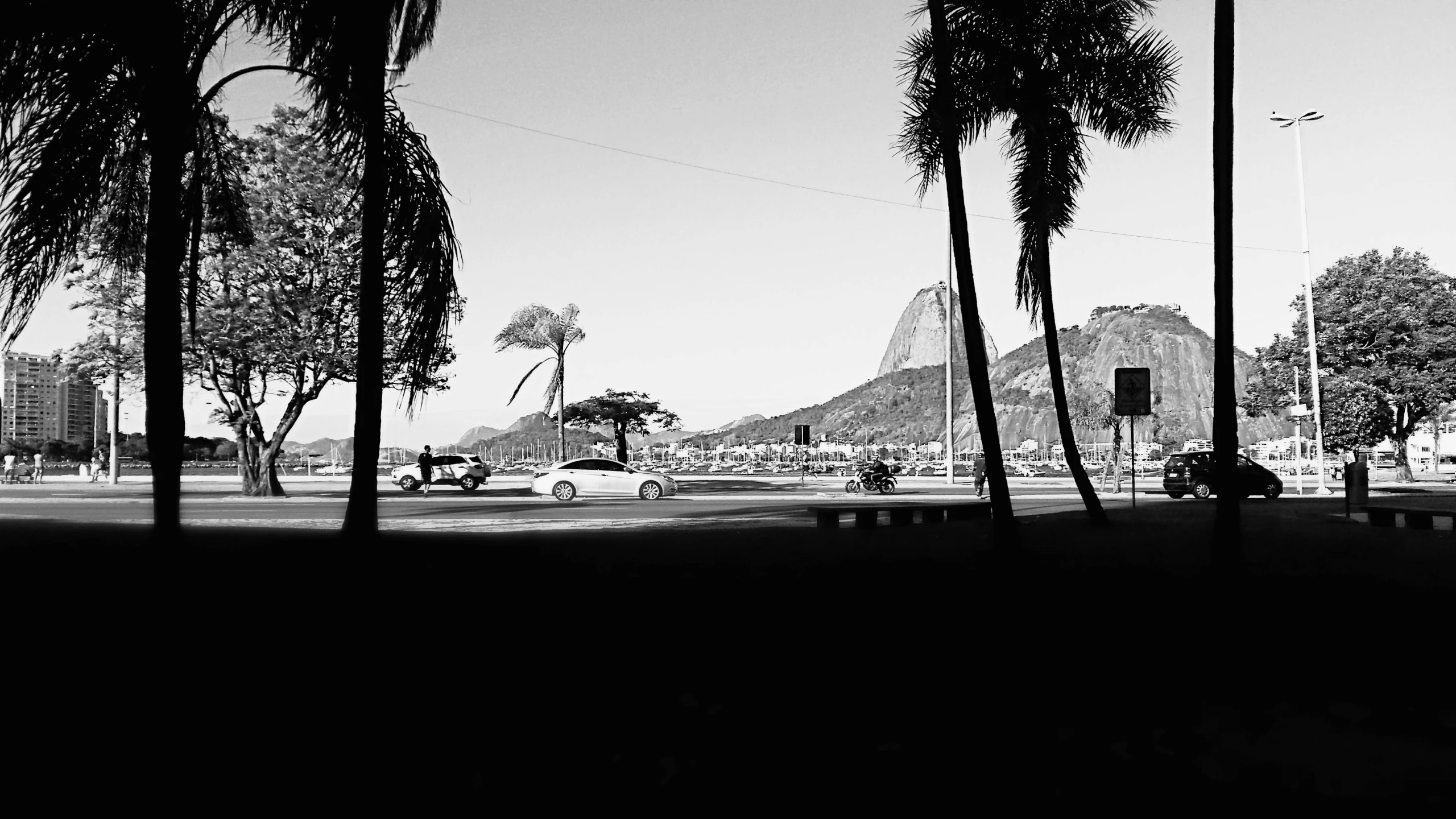 a black and white photo of a street with palm trees, by Manuel Franquelo, christ the redeemer, car, 🪔 🎨;🌞🌄, ffffound