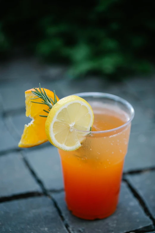 a glass of orange juice with a slice of lemon, unsplash, renaissance, smoked layered, grey orange, half turtle, knockout punch