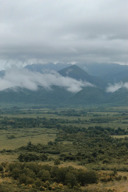 the landscape is covered in low lying clouds