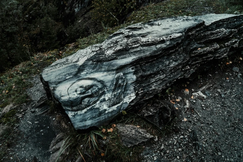 the petrified rocks are sitting on the ground