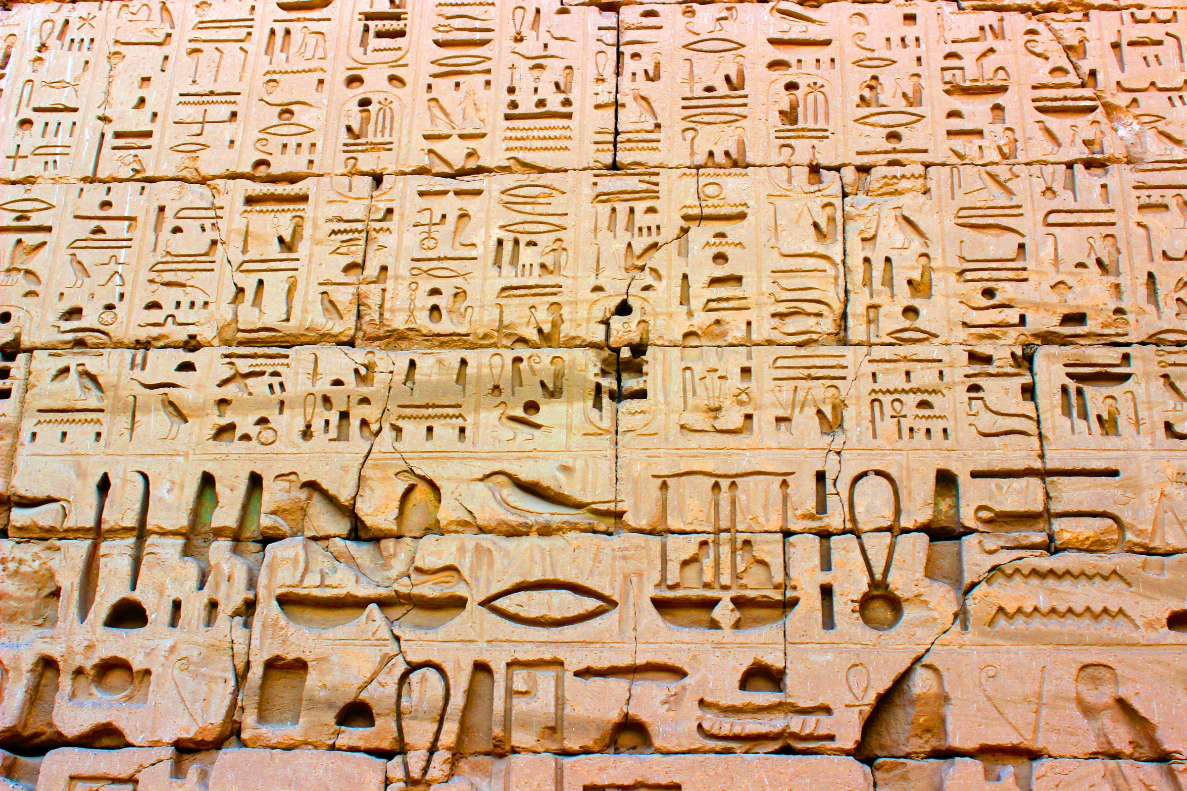 a close up of an egyptian hierole on a wall, by Daniel Lieske, pexels, glyphs, dessert, various sizes, writings