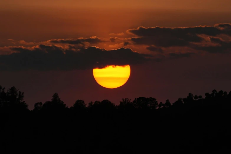 sun shining through the clouds over a forest