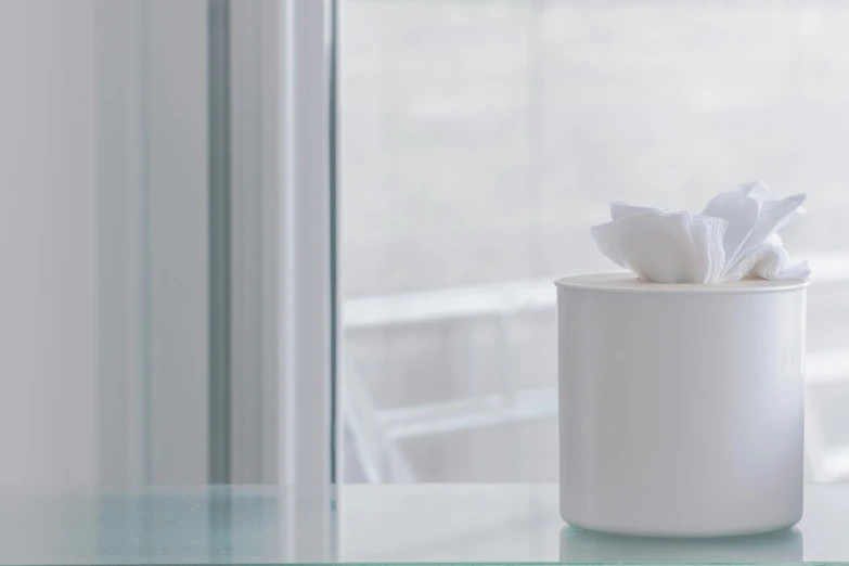 a close up of a tissue dispenser on a table, by Nina Hamnett, pexels contest winner, minimalism, white vase, soft window light, unedited, a handsome