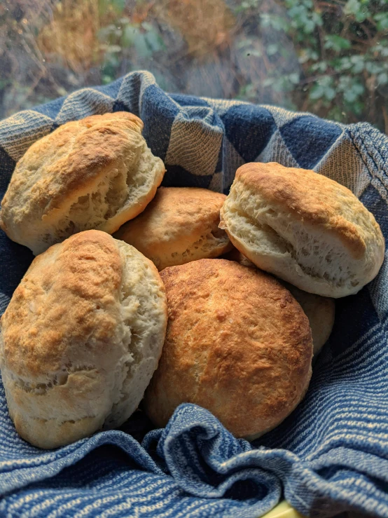 a basket filled with biscuits sitting on top of a table, profile image, yeast, warm sunshine, thumbnail