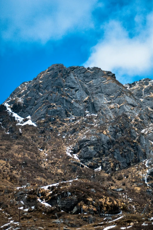 a large mountain with white snow on the top and some brown plants in front