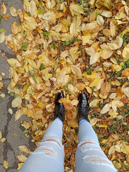 a person standing in front of a pile of leaves, wearing black boots, selfie photo, yellow colours, 👰 🏇 ❌ 🍃