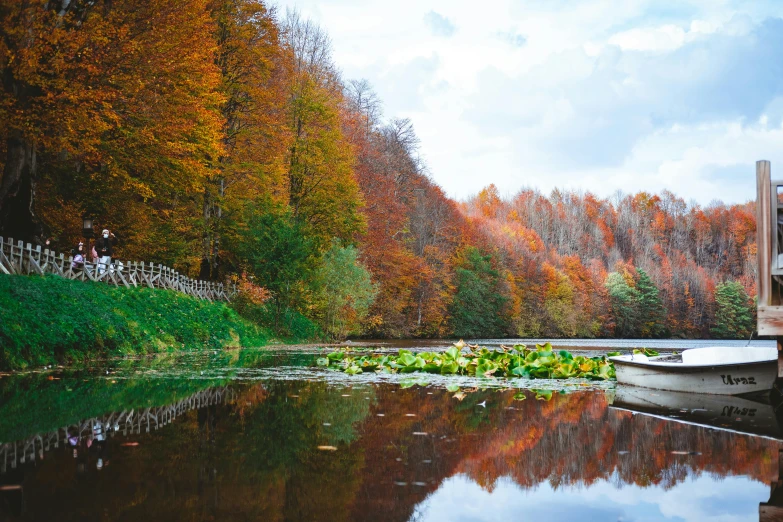 a boat sitting on top of a lake next to a forest, by Zofia Stryjenska, pexels contest winner, autum garden, hd footage, lush scenery, brown