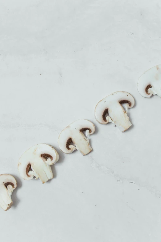 a close up of a number of wooden letters, a marble sculpture, by Nicolette Macnamara, trending on unsplash, made of mushrooms, thin porcelain, made of food, white metallic