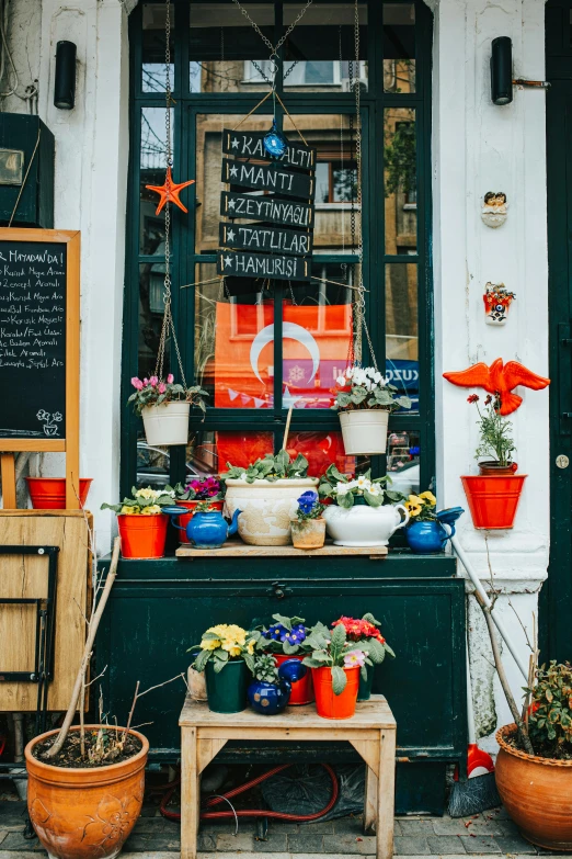 potsted flowers on display in front of a store