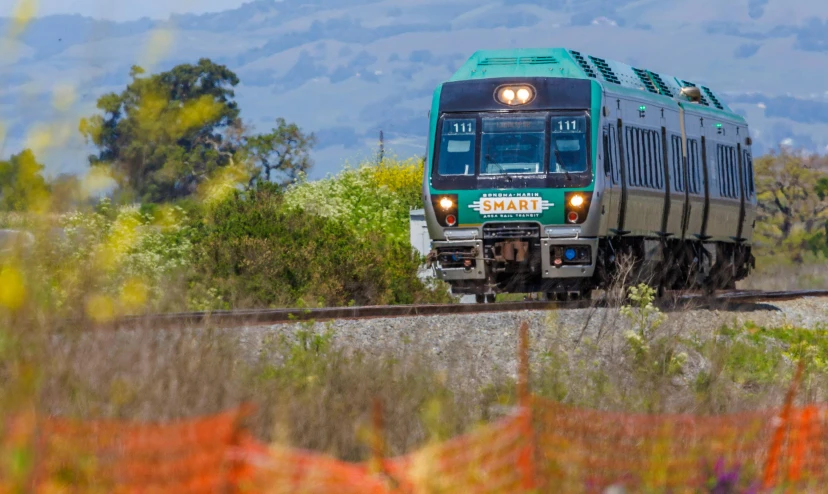 a green train traveling down train tracks next to a forest, renaissance, bay area, shart focus, 🚿🗝📝, profile image