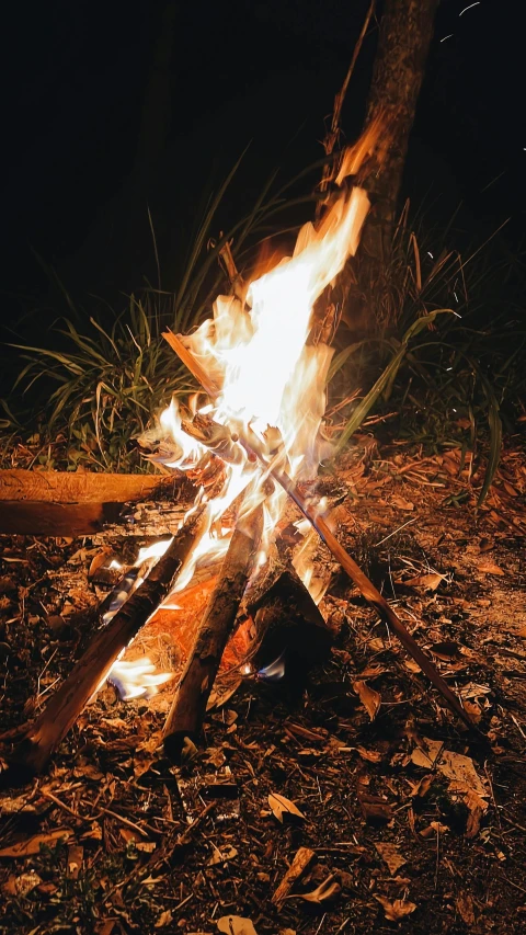 a campfire burning on the ground at night