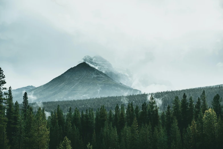 mountain seen behind evergreen trees in a cloudy sky