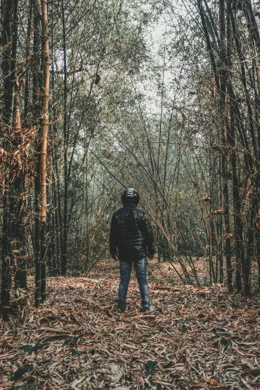 a person standing in the middle of a forest, wearing jeans and a black hoodie, seen from afar, human staring blankly ahead, 2019 trending photo