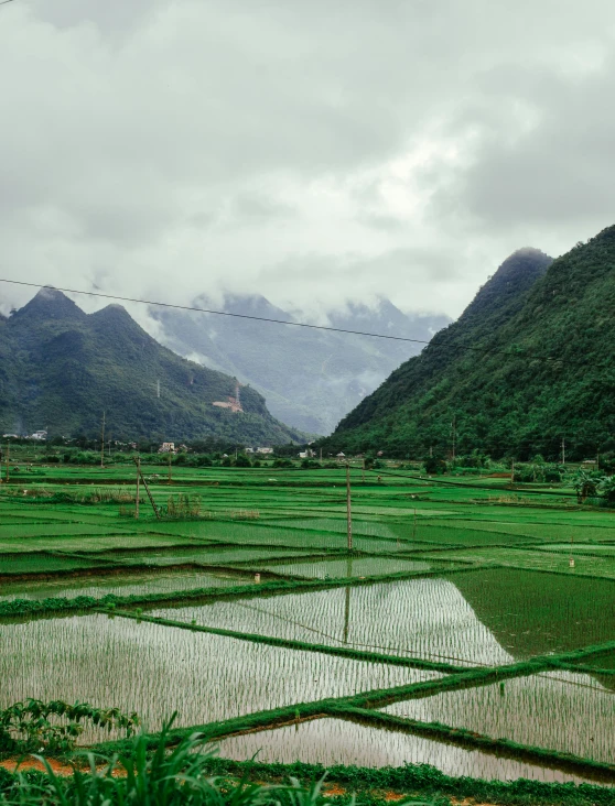 a rice field with mountains in the background, in a valley, trending on vsco, multiple stories, paul barson