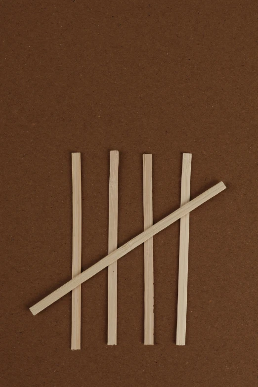 a group of sticks sitting on top of a brown surface, an album cover, simple shape, dark. no text, detailed product image, detail shot