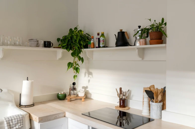 the plant is on the white shelf next to the counter