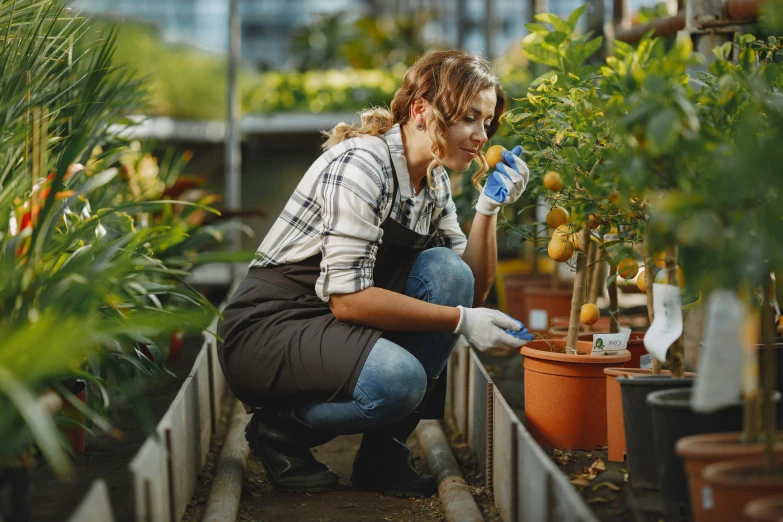 a woman kneeling down next to a potted plant, professional, thumbnail, greenhouse, abcdefghijklmnopqrstuvwxyz