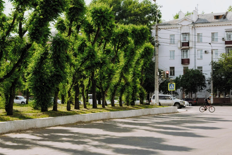 a man riding a bike down a street next to tall trees, inspired by Illarion Pryanishnikov, unsplash, socialist realism, green square, ((trees)), hedges, rostov city