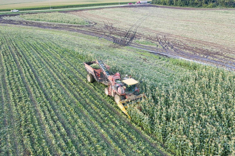 a tractor driving through the middle of a field