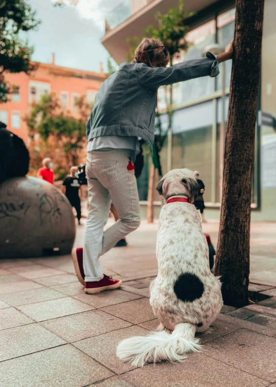 a dog standing next to a person on a skateboard, by david rubín, pexels contest winner, happening, next to a tree, bum, in barcelona, walkable