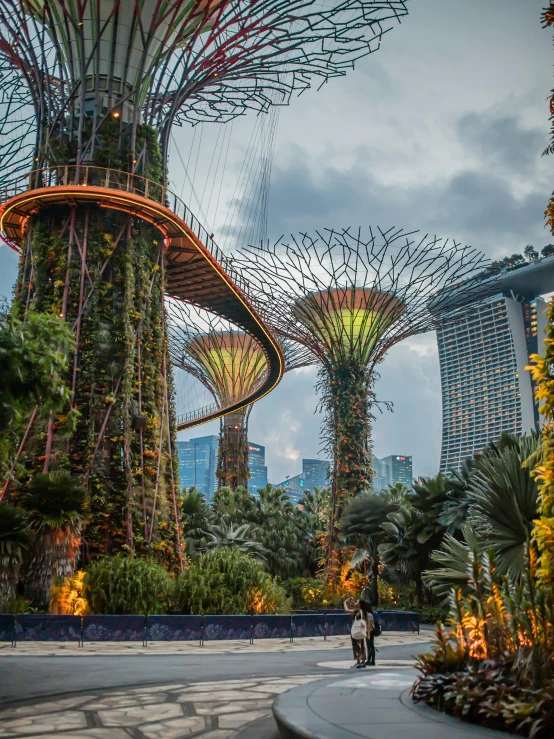 a man walks through the gardens at dusk