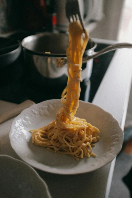 a plate of spaghetti with a fork sticking out of it, inspired by Gianfredo Camesi, unsplash, honey dripping from ceiling, melted cheddar, gif, ignant