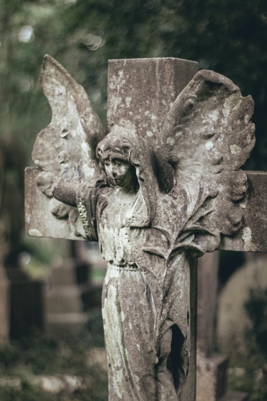 a statue of an angel on a cross in a cemetery, pexels contest winner, paul barson, 1900s photo, a quaint, wings