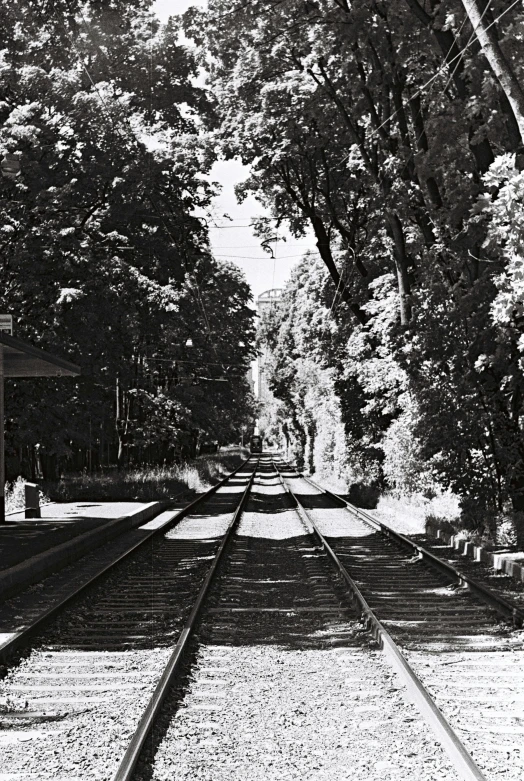 a black and white photo of a train track, garden road, ( ( photograph ) ), summer day, moviestill