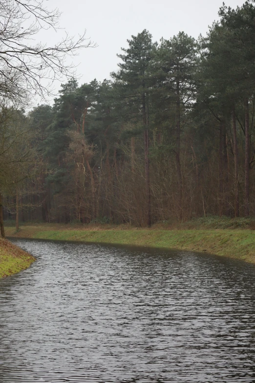 a stream flowing through a green field and trees