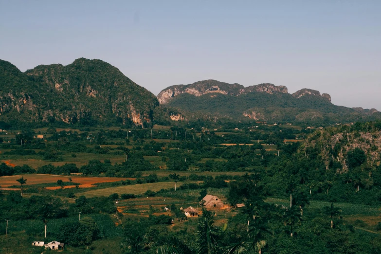 trees and small houses in a field below large mountains