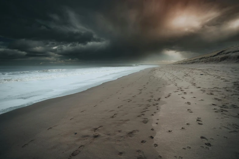 some tracks in the sand and the ocean