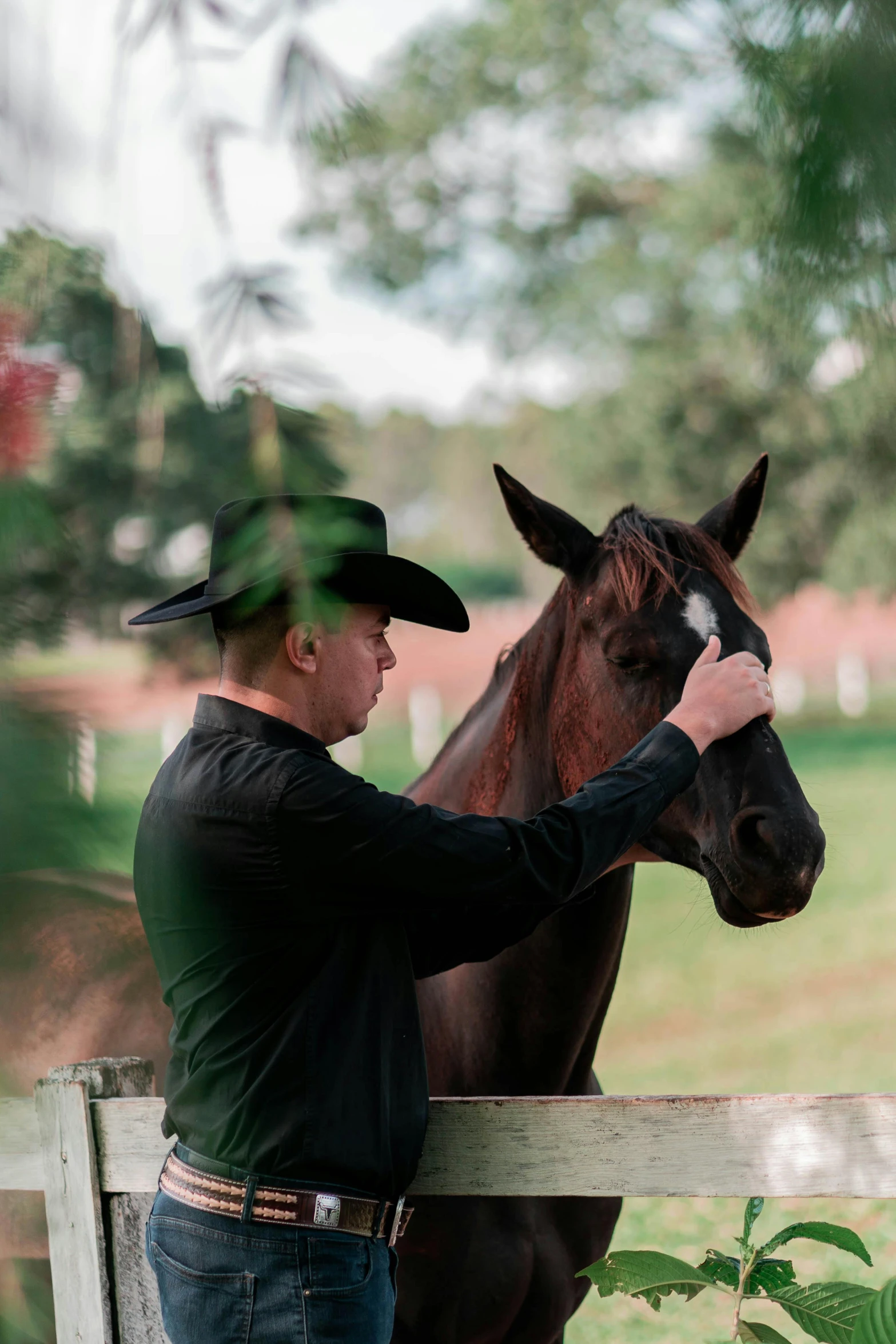 man in a cowboy hat petting a brown horse