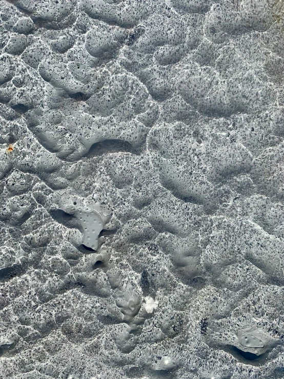 a bird standing on top of a sandy beach, an album cover, inspired by Vija Celmins, concrete art, melting in coral pattern, highly detailed # no filter, detail texture, slate