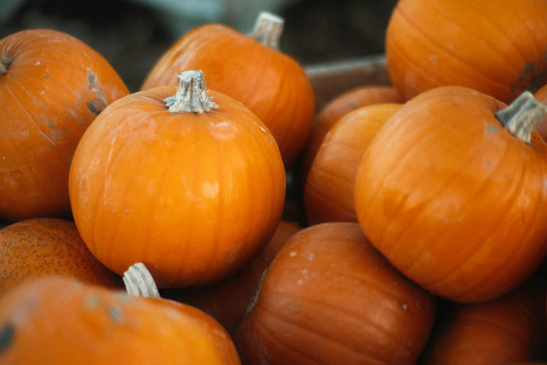 a pile of orange pumpkins sitting on top of each other, pexels, hurufiyya, square, ::