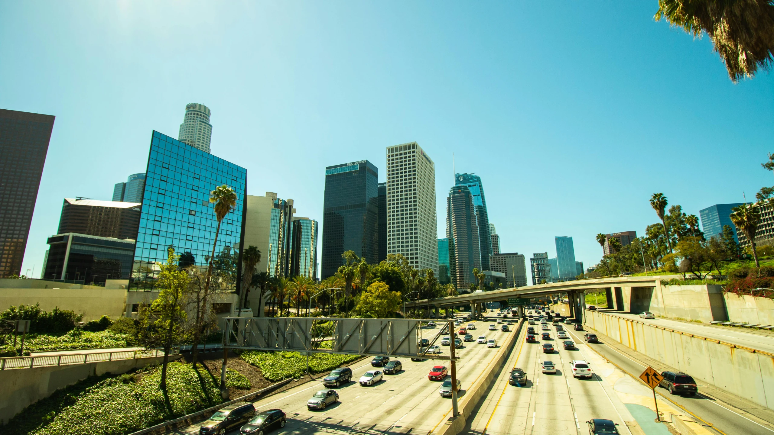 a freeway filled with lots of traffic next to tall buildings, a stock photo, renaissance, los angelos, on a bright day, getty images proshot, carpool karaoke