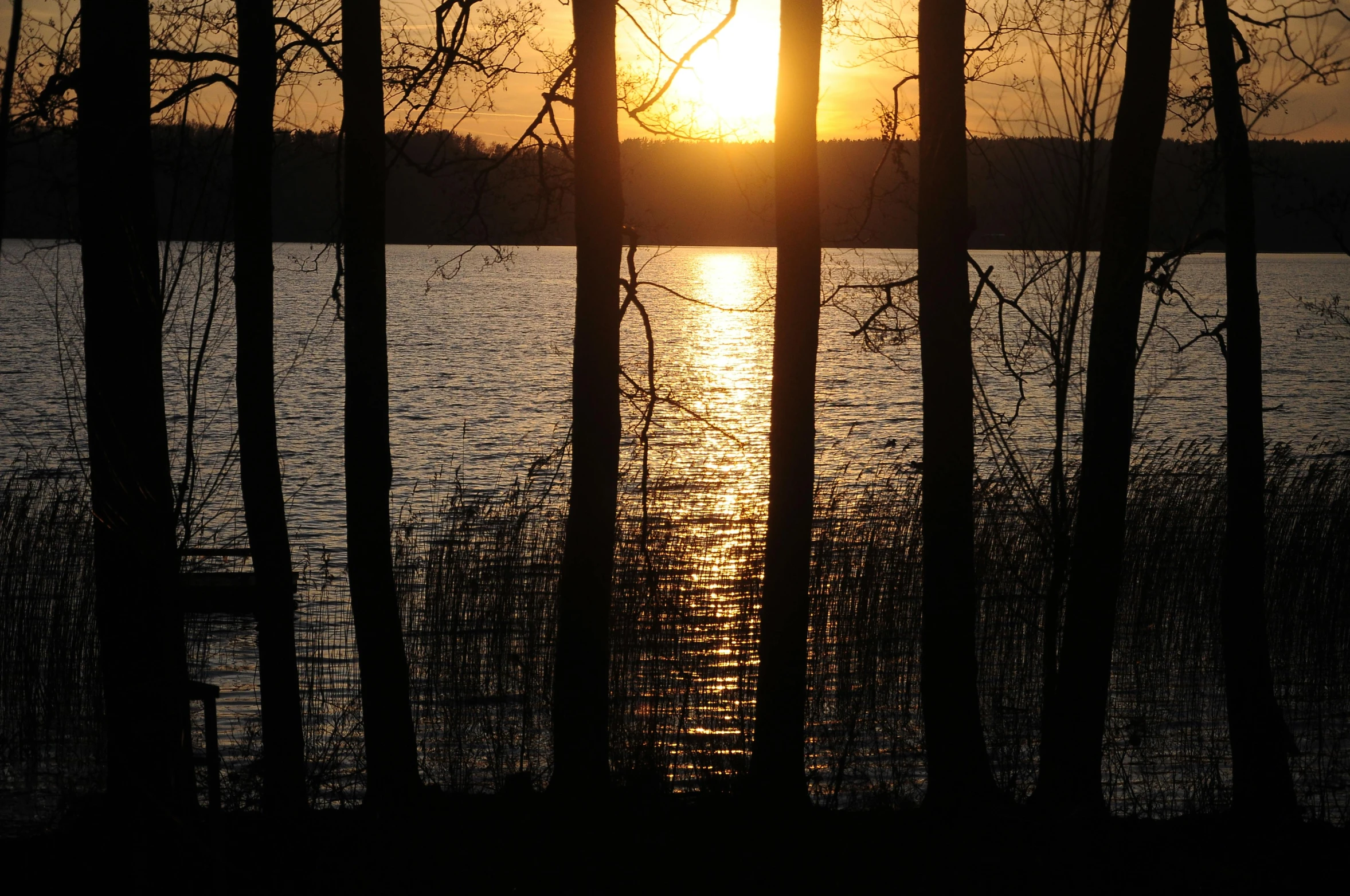 the sun is setting over a body of water, a picture, by Veikko Törmänen, land art, sun through the trees, half image