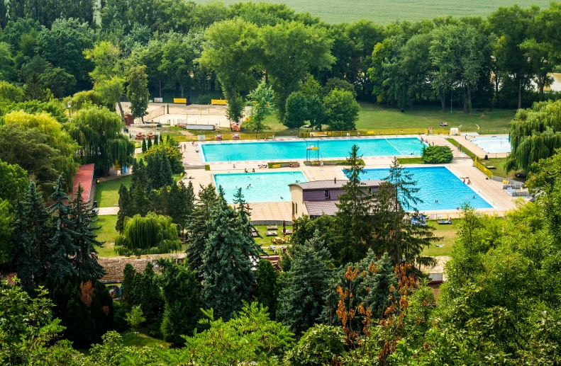 an aerial view of a swimming pool surrounded by trees