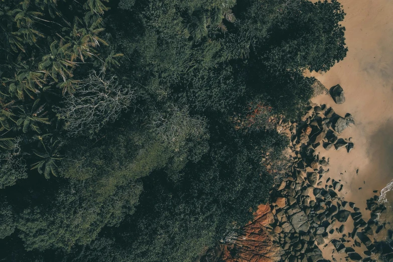 an aerial view of a body of water surrounded by trees, an album cover, unsplash contest winner, australian tonalism, rocks coming out of the ground, as seen from the canopy, near the beach, unsplash 4k