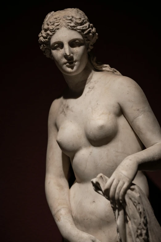 a statue of a woman holding a flower, a marble sculpture, mannerism, breasts covered and sfw, museum, hips