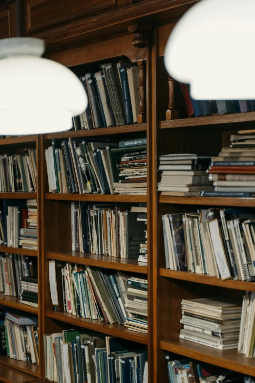 a wooden bookshelf filled with lots of books, by Leo Michelson, unsplash, modernism, spotlights from ceiling, obscured underexposed view, julia sarda, mid-view