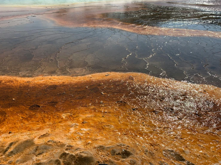 the water is brown and it is brown and clear