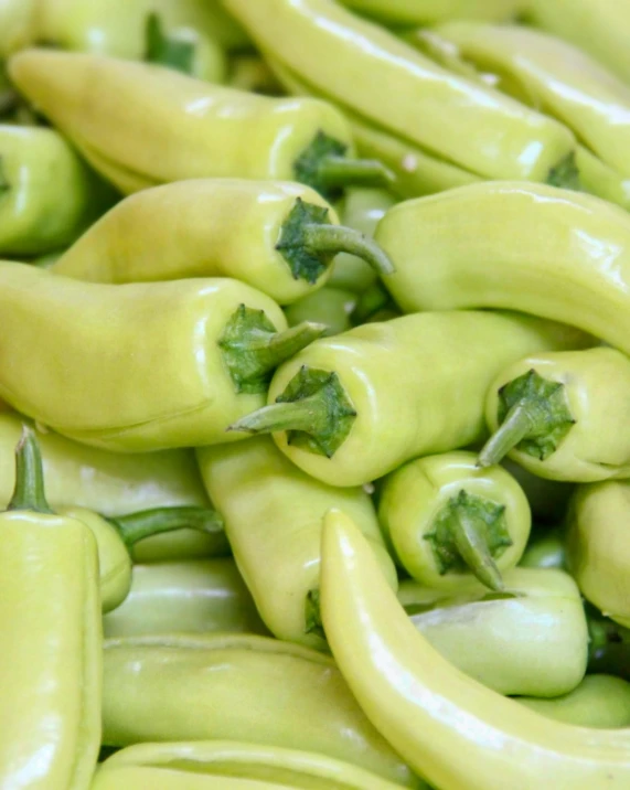 a pile of green peppers sitting on top of each other, white horns, pastel green, thumbnail, 6 pack