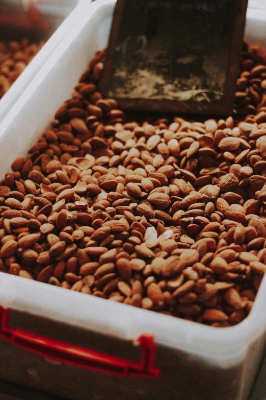 a white container filled with lots of nuts, by Daniel Lieske, trending on pexels, madagascar, banner, 1 6 x 1 6, arabica style