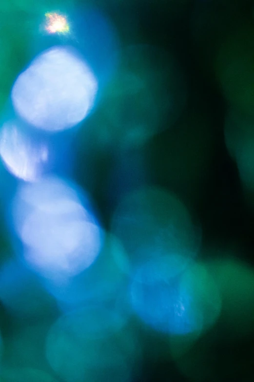 a close up of a bunch of blurry lights, by David Michie, lyrical abstraction, green and blue colour palette, blue-green fish skin, soft light - n 9, [bioluminescense