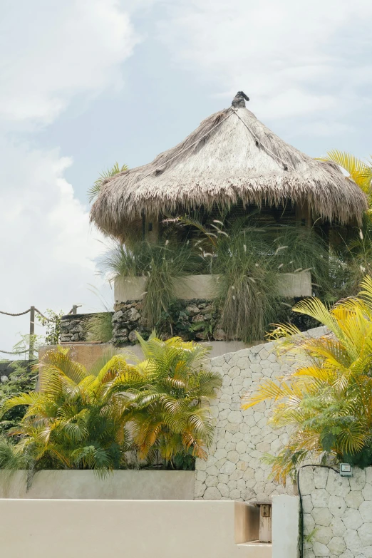 an over head view of a home with a tiki roof