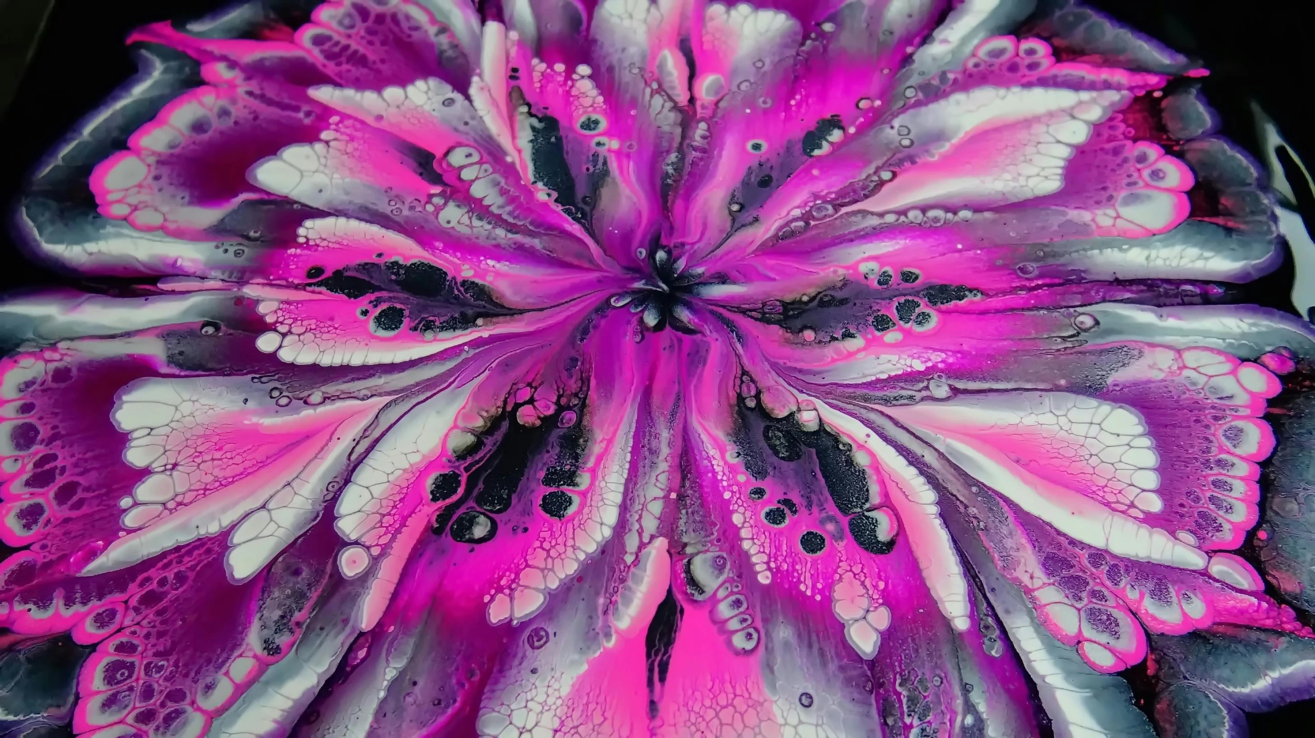 a close up of a flower with water droplets on it, a detailed painting, by Lisa Milroy, pexels, process art, neon pink and black color scheme, made of liquid purple metal, top down view, intricate detailed 4 k