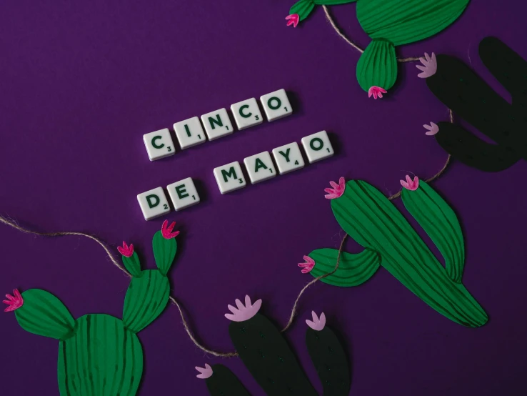 a close up of a cactus plant on a purple surface, an album cover, cubes on table, todo hecho con papel de pinata, thumbnail, lettering