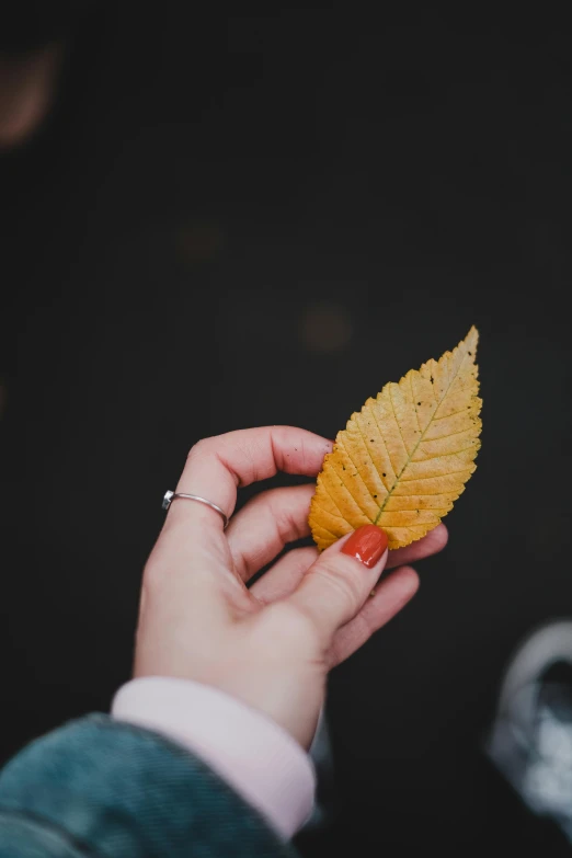 the leaf is attached to someone's finger and holds it up